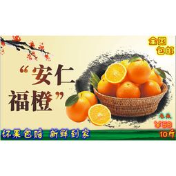 安仁特产 正宗安仁福橙 脐橙 当季新鲜水果原生态直发 5斤精品橙子大果子包邮