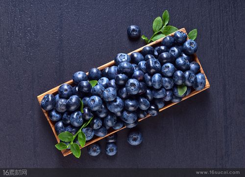 蓝莓水果写真高清图片